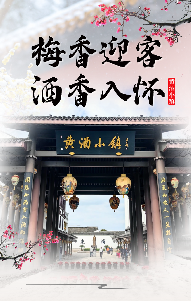 黄酒小镇｜梅香迎客，酒香入怀，赴一场江南冬日的浪漫之约
